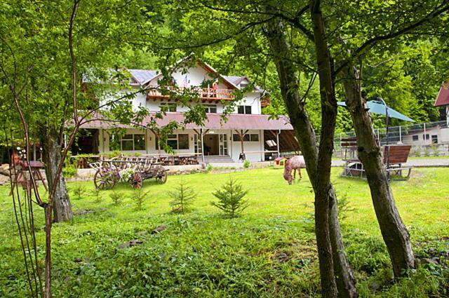 Pensiunea Valea Negrasului Traisteni Exterior photo